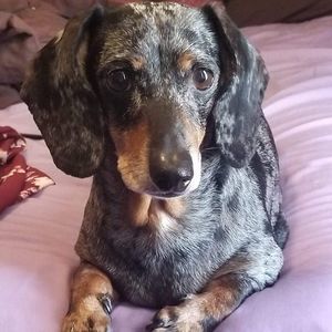 Meet your Posher, Melanie